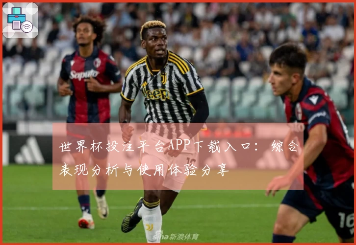 世界杯投注平台APP下载入口：综合表现分析与使用体验分享