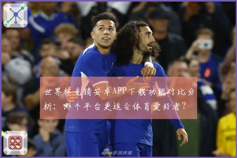 世界杯竞猜安卓APP下载功能对比分析：哪个平台更适合体育爱好者？