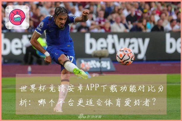 世界杯竞猜安卓APP下载功能对比分析：哪个平台更适合体育爱好者？