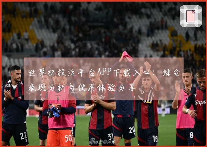 世界杯投注平台APP下载入口：综合表现分析与使用体验分享