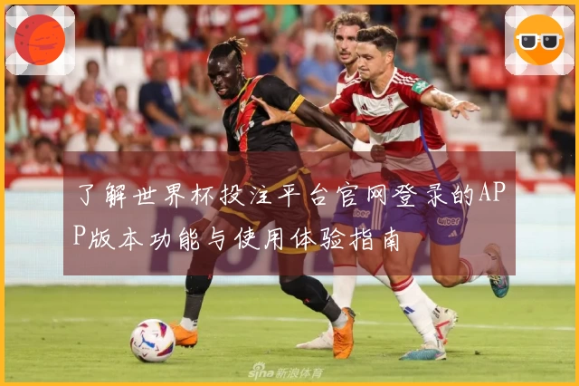了解世界杯投注平台官网登录的APP版本功能与使用体验指南