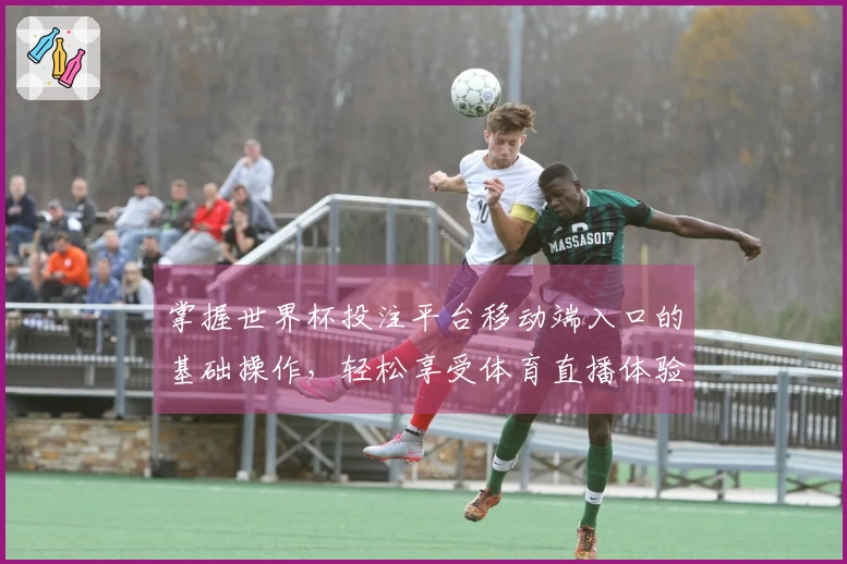 掌握世界杯投注平台移动端入口的基础操作，轻松享受体育直播体验